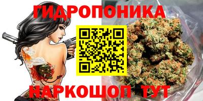 ешки Донецк