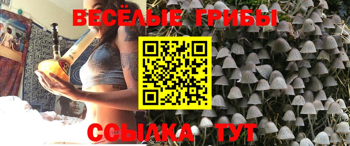 Псилоцибиновые грибы мухоморы Бугуруслан