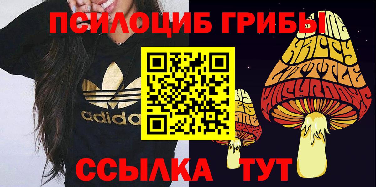 Галлюциногенные грибы Magic Shrooms  Вход с VPN  Бугуруслан 